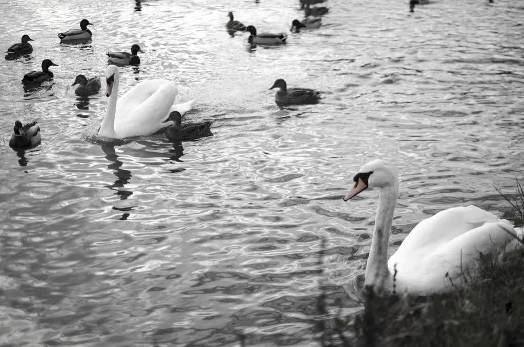 New Inn Hotel Lechlade Dış mekan fotoğraf